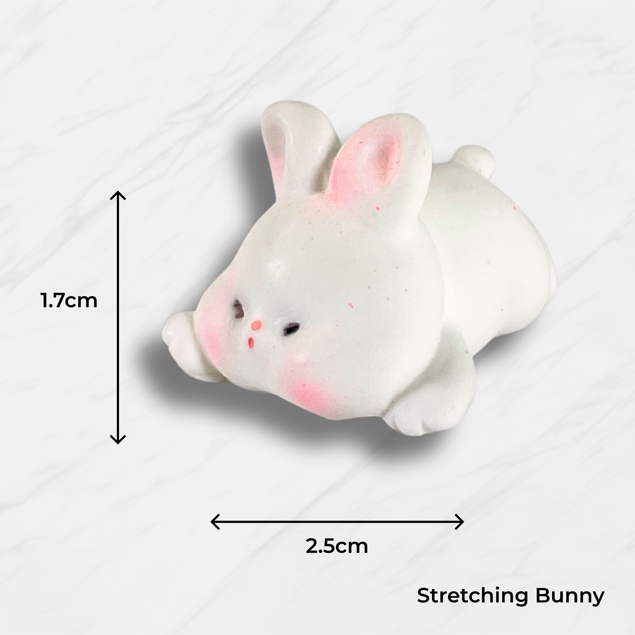 Meadow Magic Mushroom Set